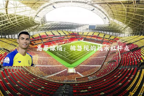 高原球场:被忽视的战术杠杆点